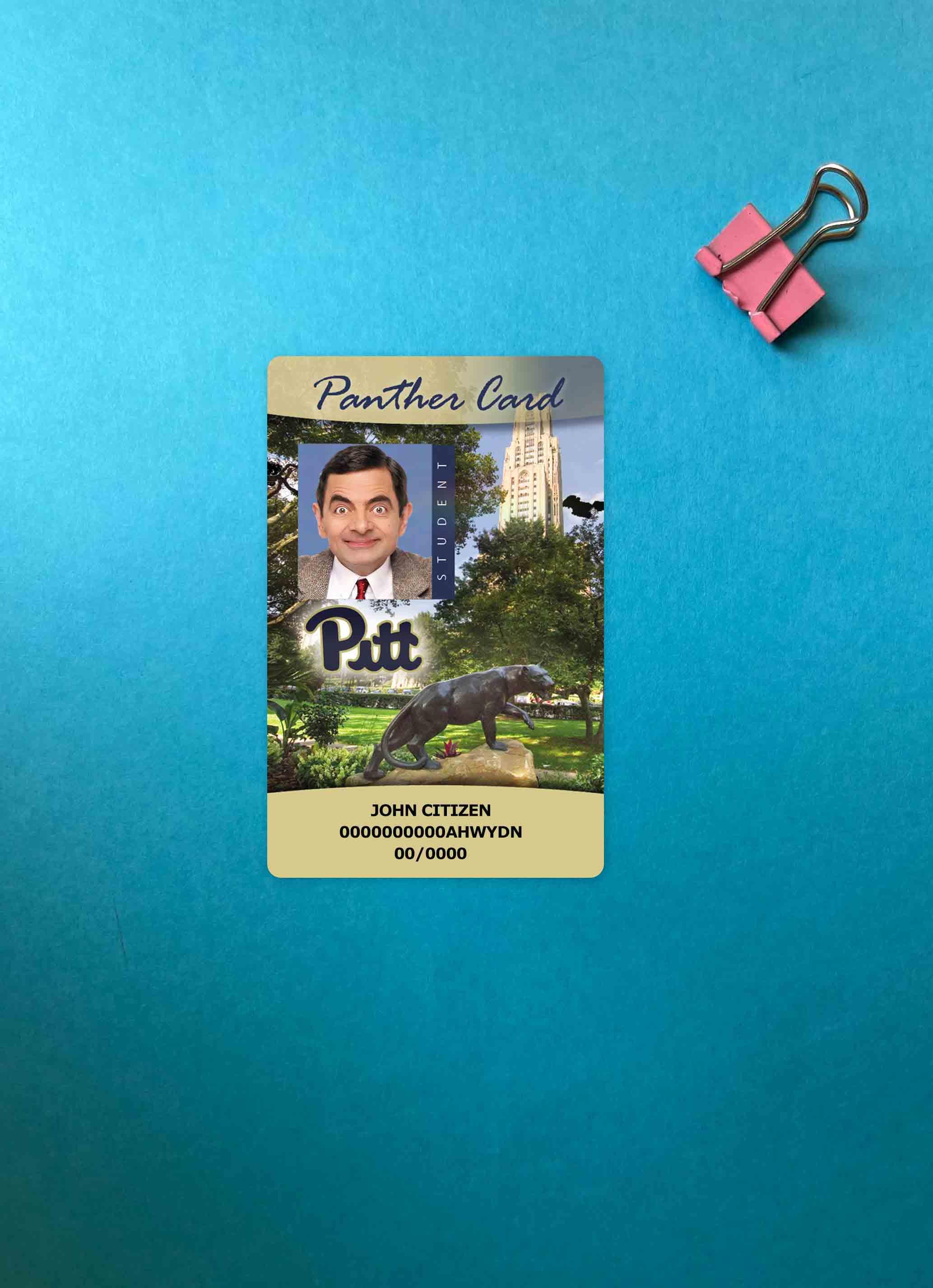 Download USA The University of Pittsburgh Student ID card, Panther card photolook FRONT Photoshop template